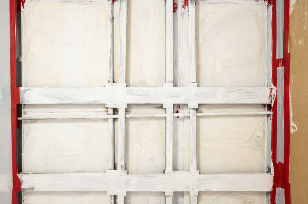  Lafayette, CO Mold Removal Pros
